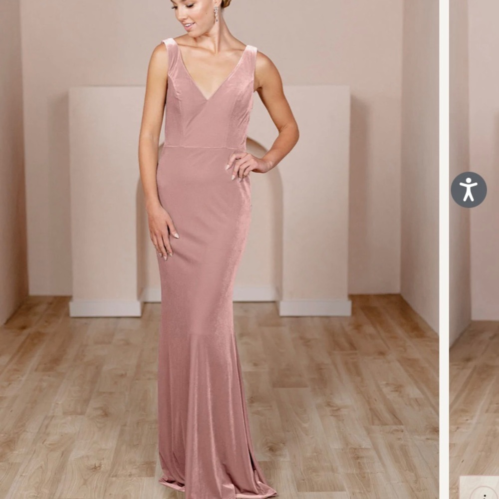Revelry Blush Dakota Velvet Dress | Petite Size 2